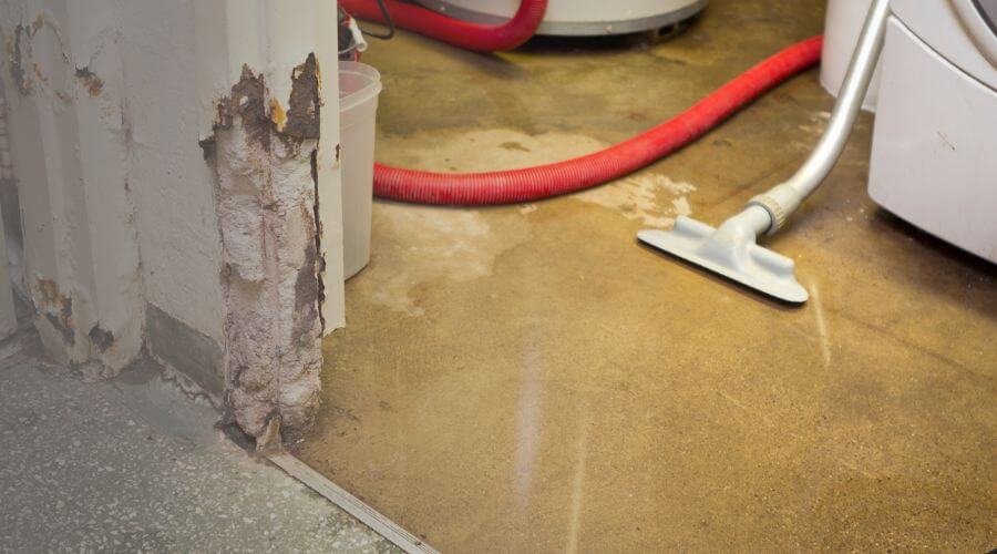 Why choose AquaNetic Co for water damage restoration in Arcadia